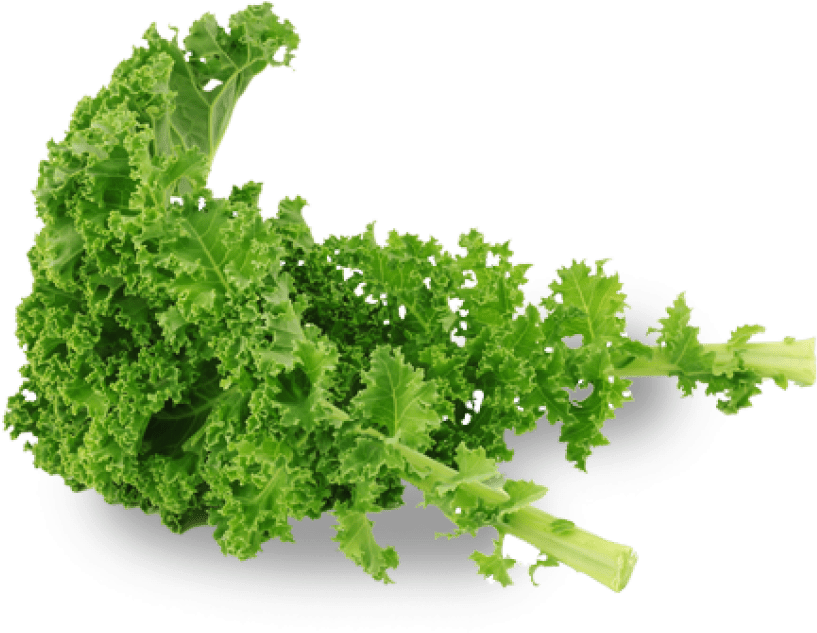 Kale Healthy Food Png Cutout (black, gray)