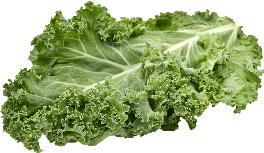 Kale Healthy Food Png Images (black)