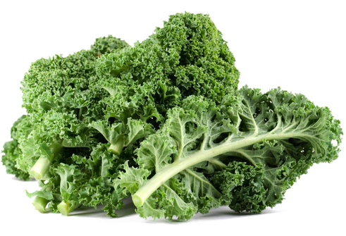 Kale Png Free Download (white, green, black)