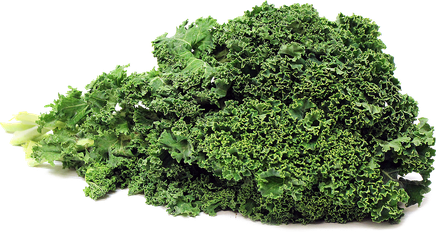 Kale Png Photos (olive, green, black)