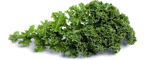 Kale Png Picture (olive, lavender, black, silver)