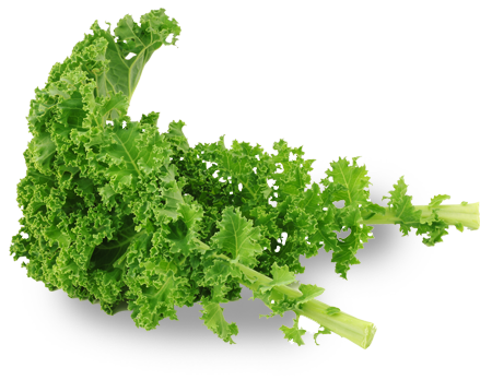 Kale Transparent Background (gray, lavender, beige, white, mint)