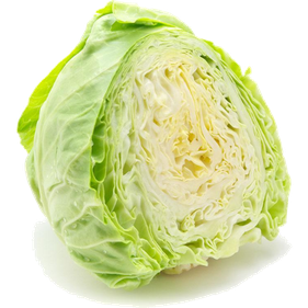 Half Cabbage Png File 1 (black, beige, mint)