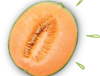 Half Cantaloupe Png File (black, salmon)