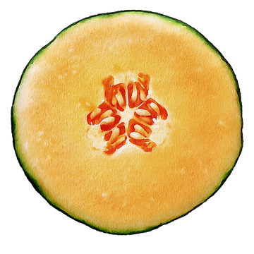 Half Cantaloupe Png Transparent Image (black, salmon, orange)