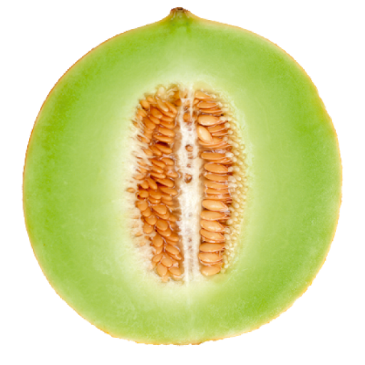 Half Cantaloupe Transparent Background (black, silver, gray)