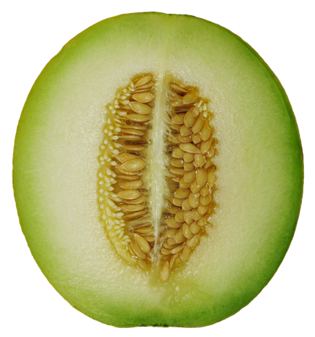 Half Cantaloupe Transparent Png (black, silver)