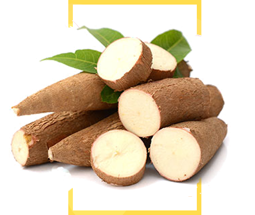 Half Cassava Png Image (white, olive, yellow, black, salmon)