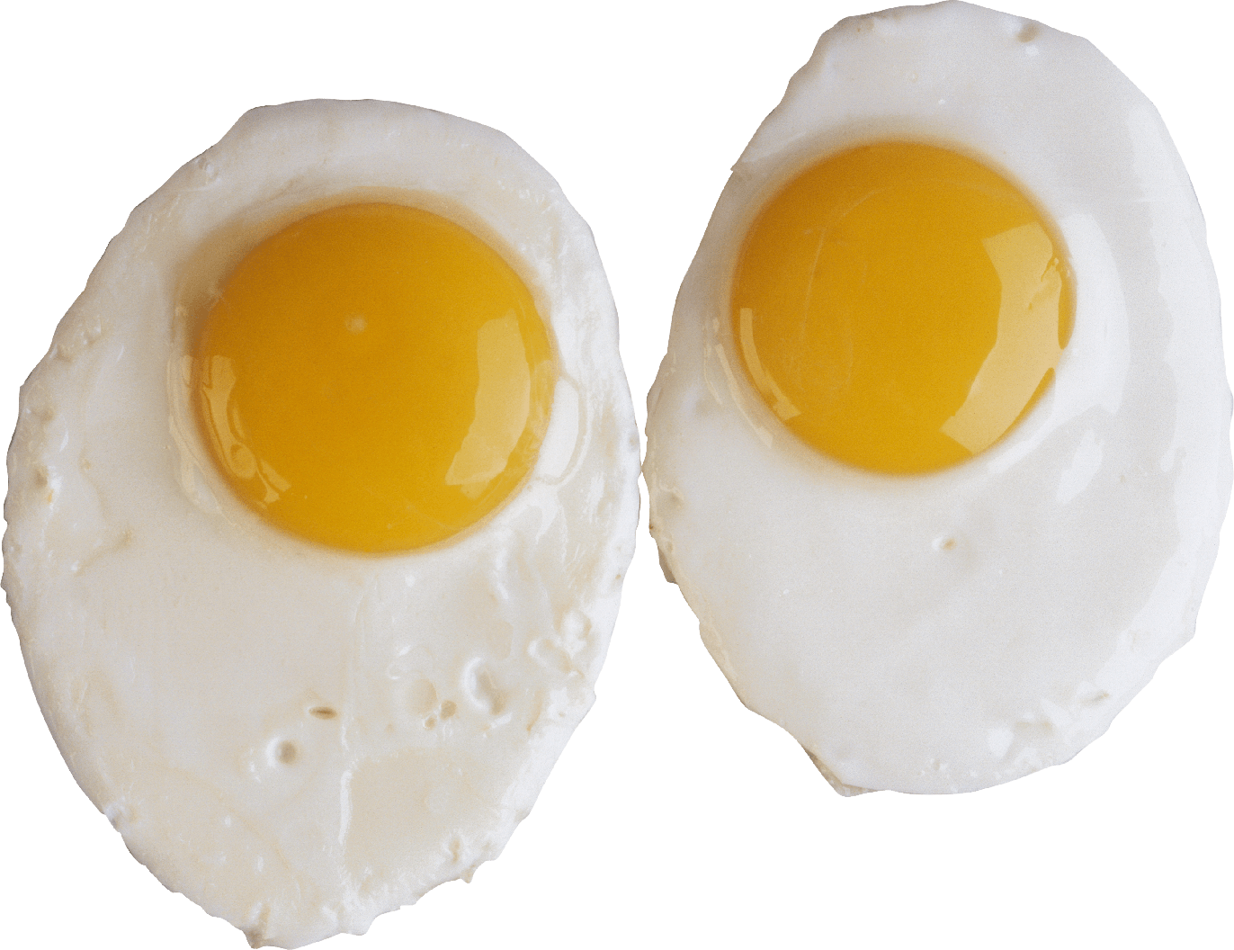 Half Fried Egg Transparent Background (gray, lavender)