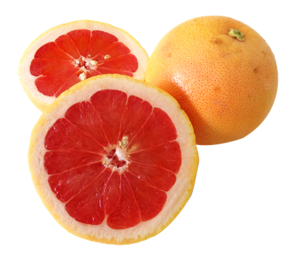 Half Grapefruit Png Hd (black, red, maroon, chocolate)