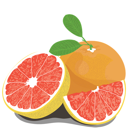 Half Grapefruit Png Image (orange, salmon, chocolate, white, black)