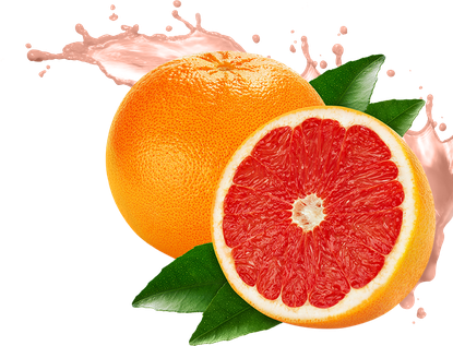 Half Grapefruit Png Transparent Image (orange, beige, chocolate, white, black)