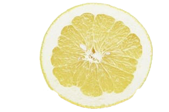 Half Lemon Png Hd (beige, black)