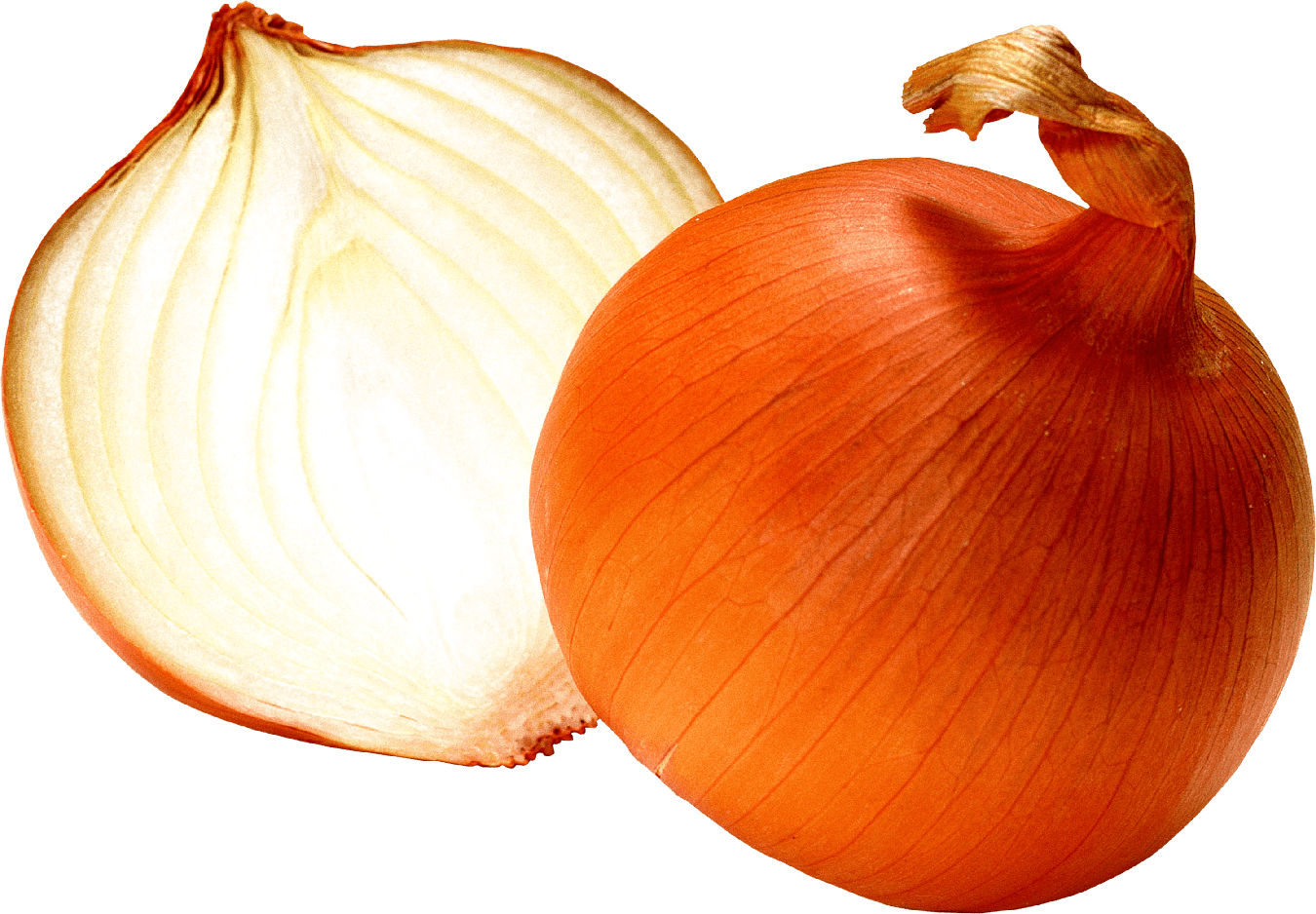 Half Onion Png Image (white, beige, black)