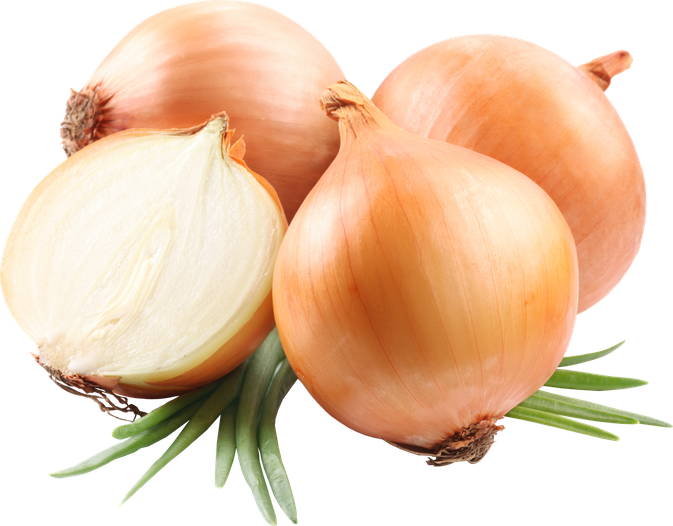 Half Onion Png Transparent Image (white, beige, black)