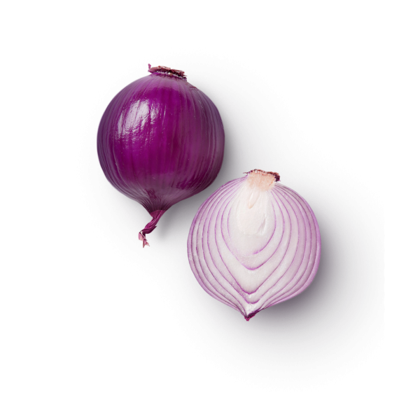 Half Onion Transparent Background (black)