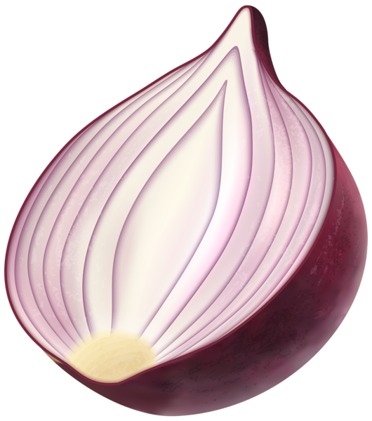 Half Onion Transparent Png (beige, black)