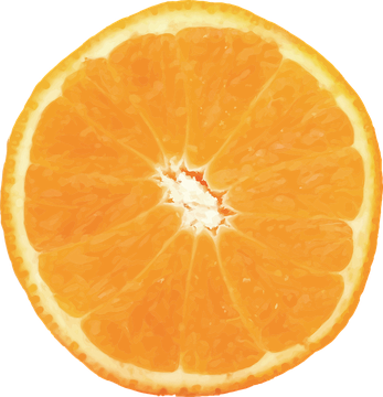 Half Orange Png Free Download (orange, black)