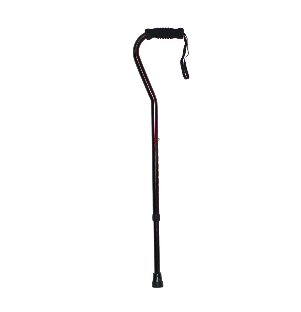 Walking Stick Png Isolated Hd Pictures (black)