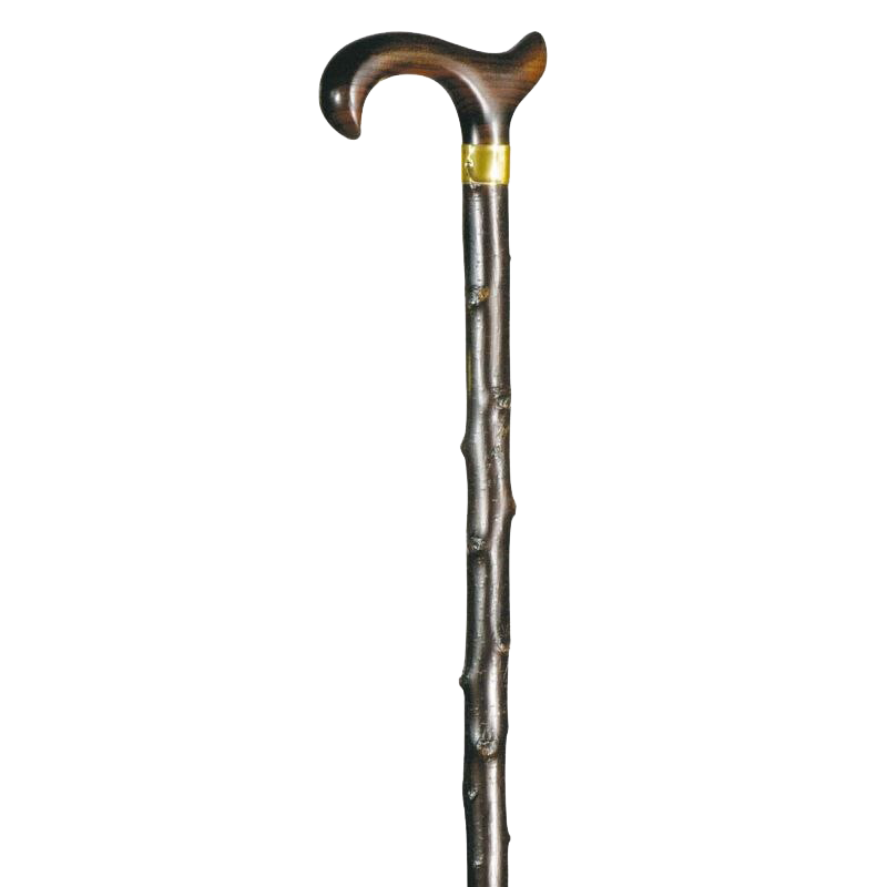 Walking Stick Png Photo (black, gray, silver, white)