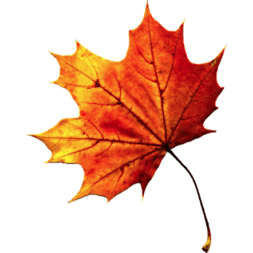 Fall Autumn Leaves Transparent Png (black, gold, chocolate)