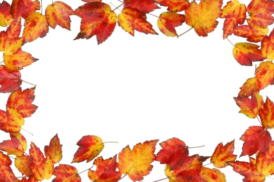 Fall Border Png Transparent (white)