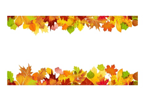 Fall Border Transparent Background (white)