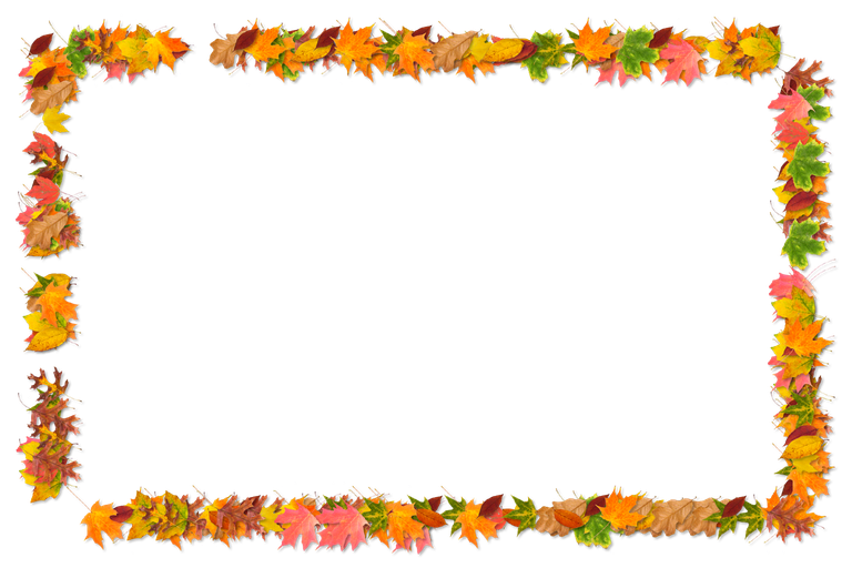 Fall Frame Png Photo (black)