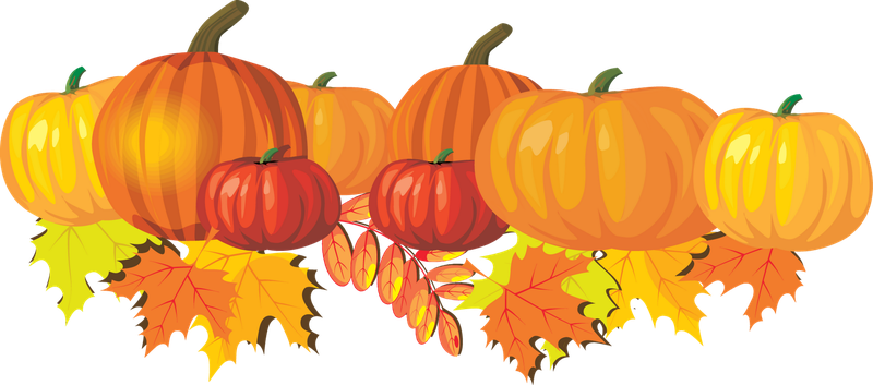 Fall Harvest Png Clipart (black, gold, chocolate, orange)