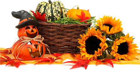 Fall Harvest Transparent Png (black, orange)