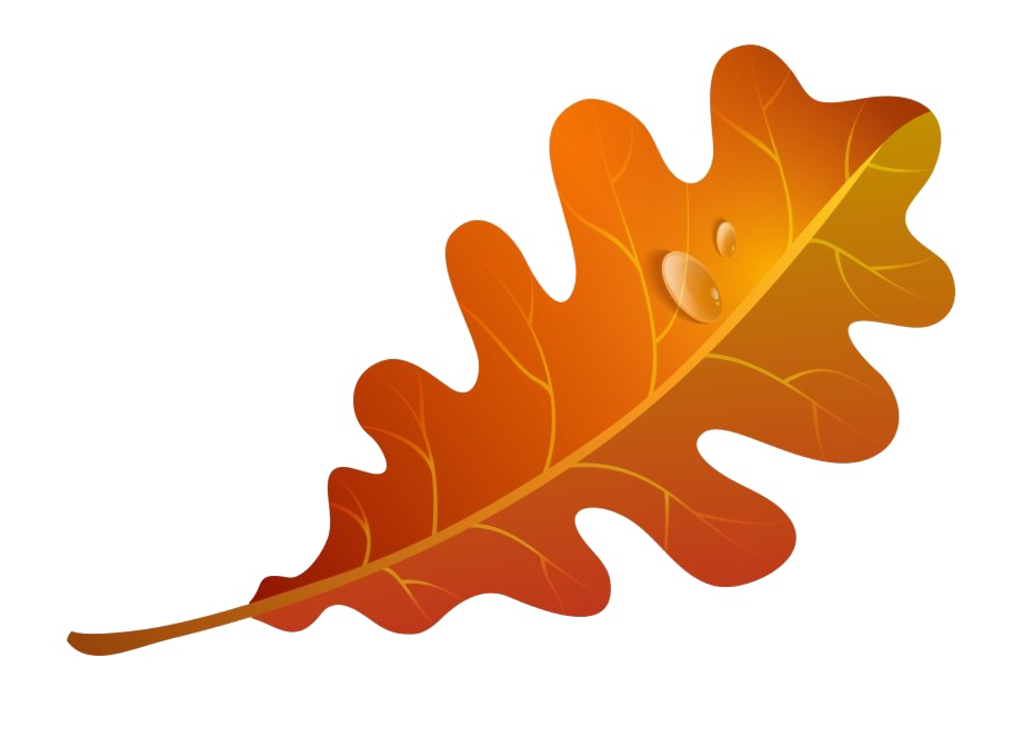 Fall Leaves Png Image (chocolate, white)