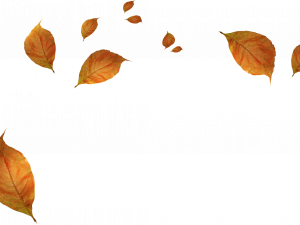 Fall Leaves Png Pic 300X225 (black)