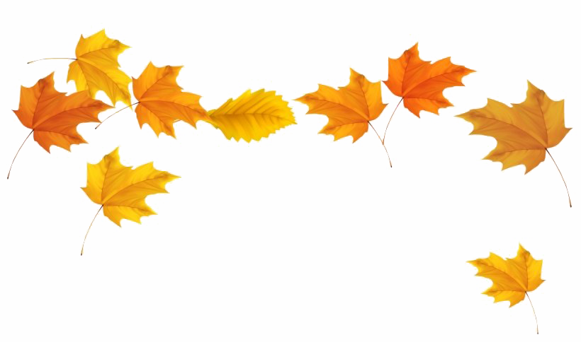 Fall Leaves Transparent Png (white)