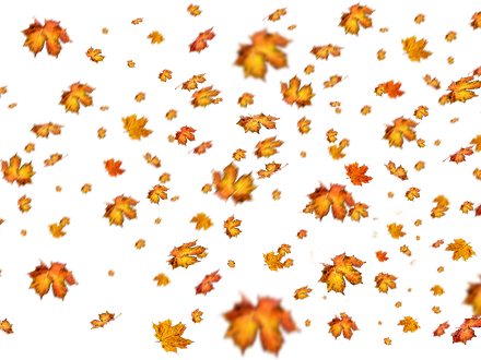 Fall Png File (black)