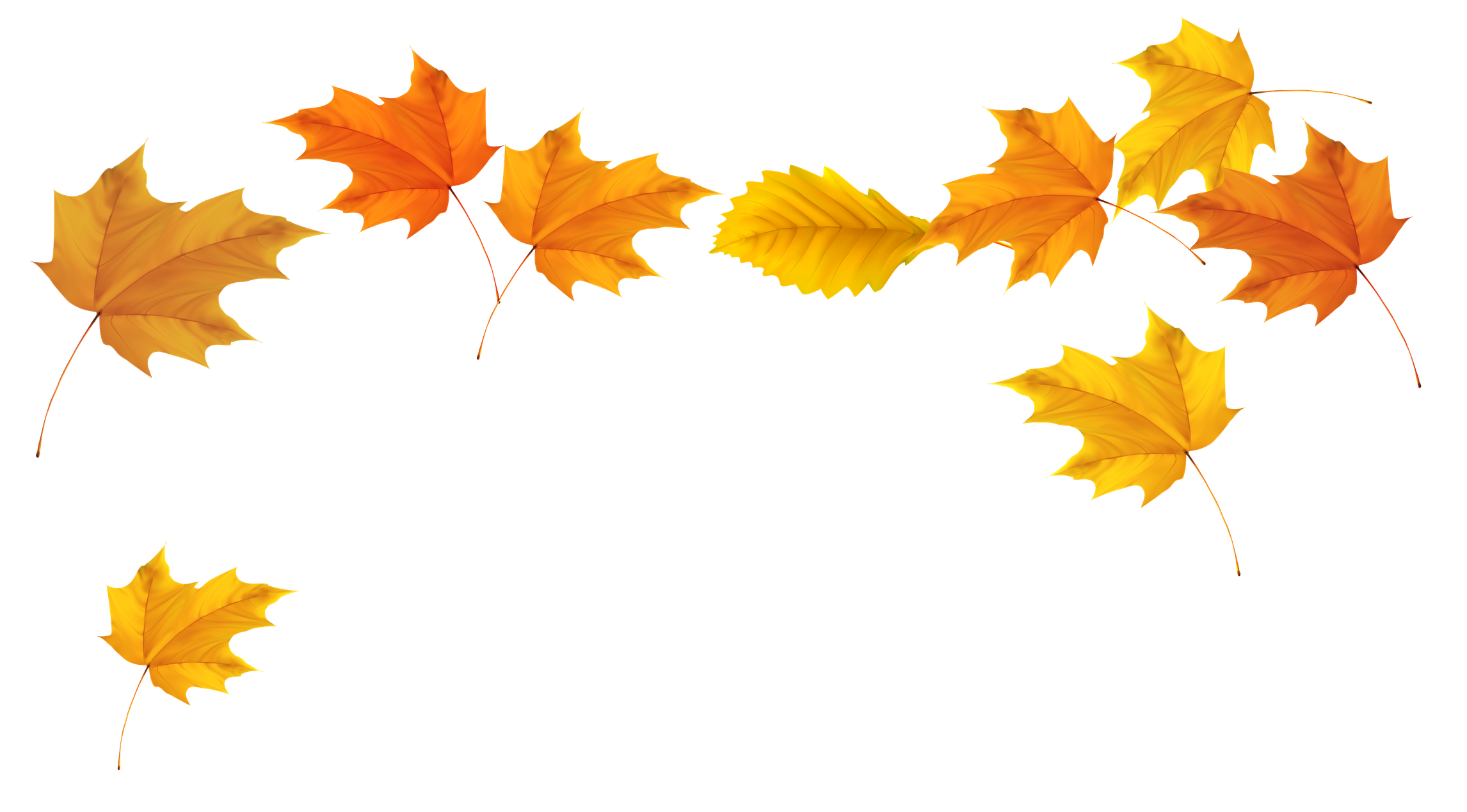 Fall Png Free Download (black, chocolate)