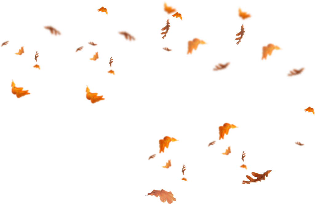 Fall Png Image (black)