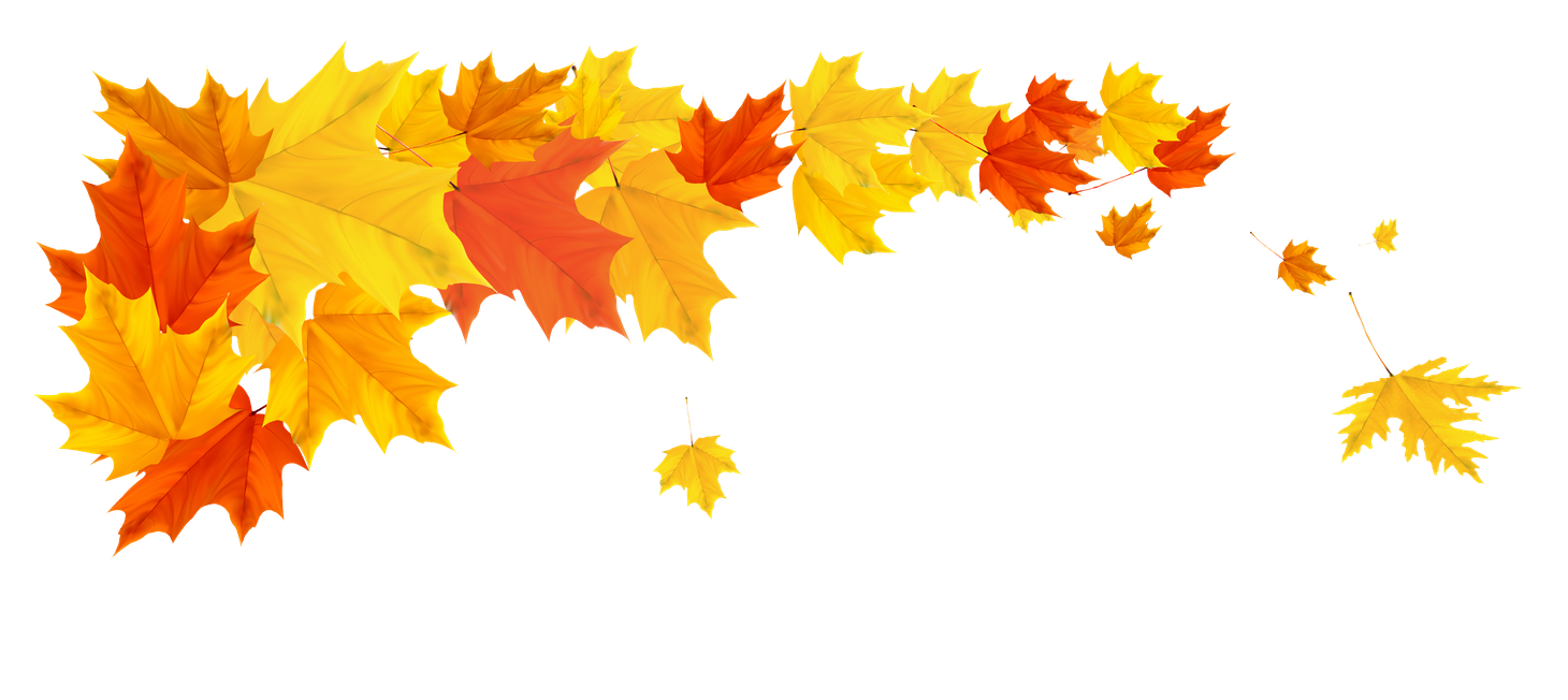 Fall Png Isolated Photo (black, gold, orange)