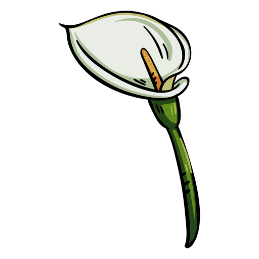 Calla Lily Png Photos (beige, black)