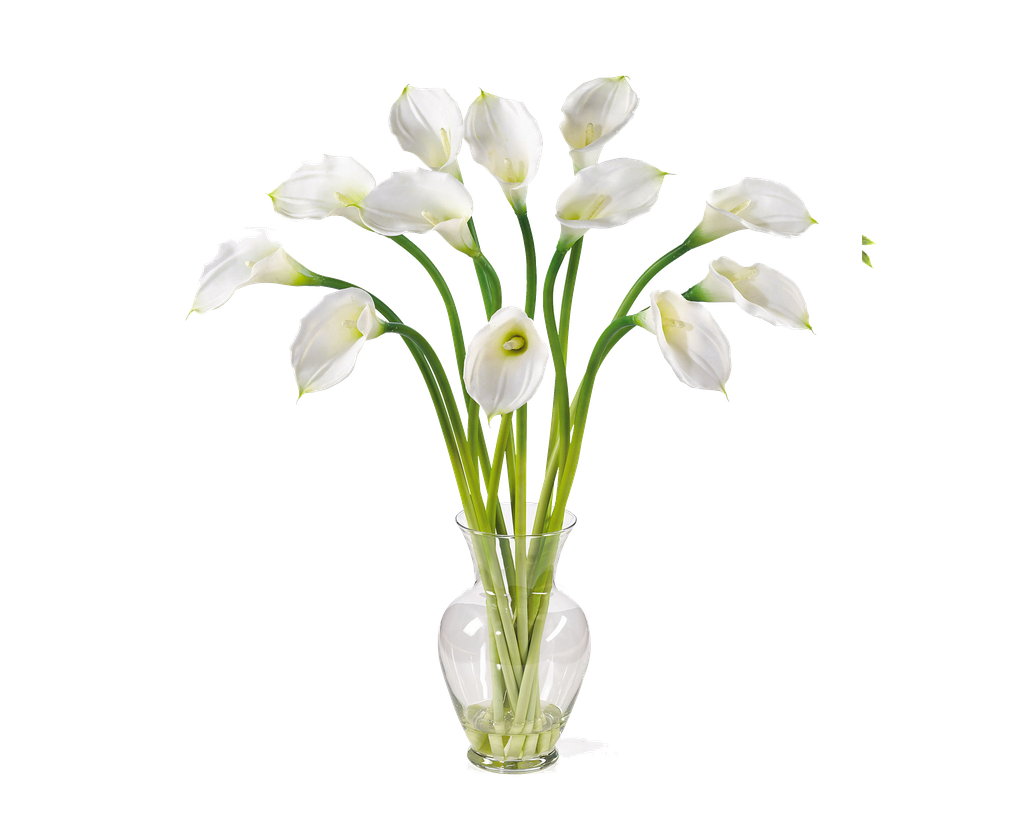 Calla Png Image (black)