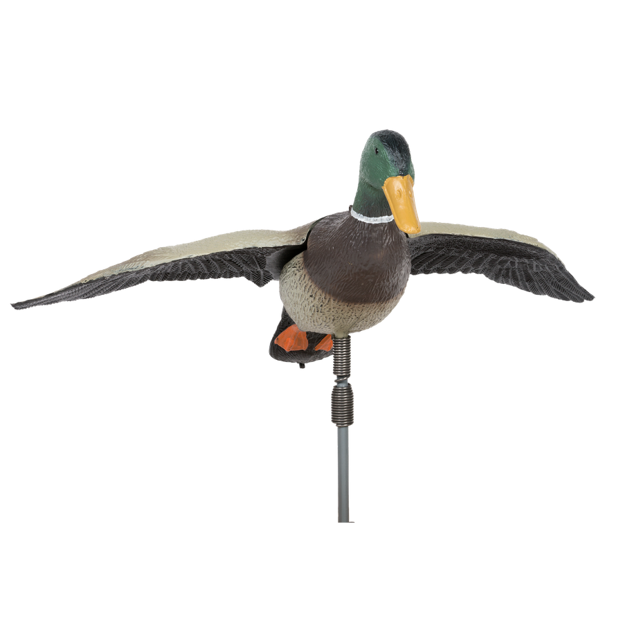 Mallard Png Background Image (indigo, black)