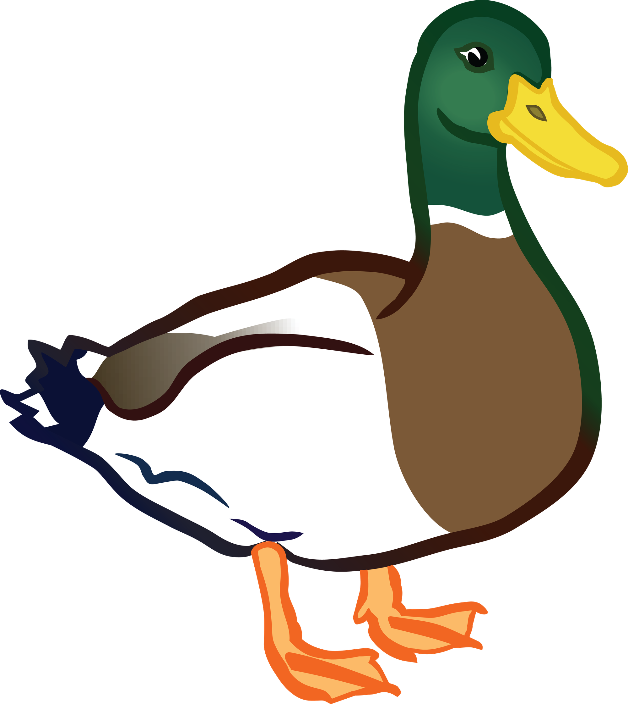 Mallard Png Clipart (olive, gold, black, teal, white)