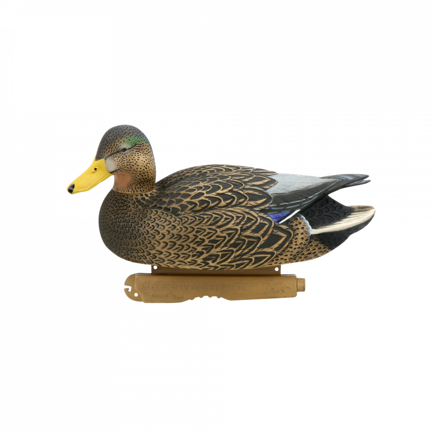 Mallard Png Image (maroon, black, olive)