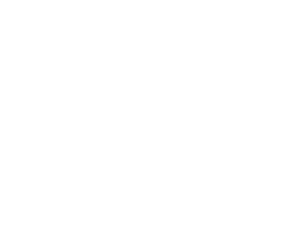 Dallas Stars Png Image (white)