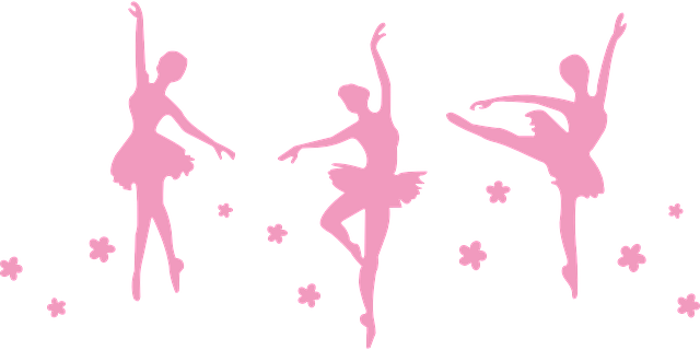 Ballet Png File (pink, black, plum)