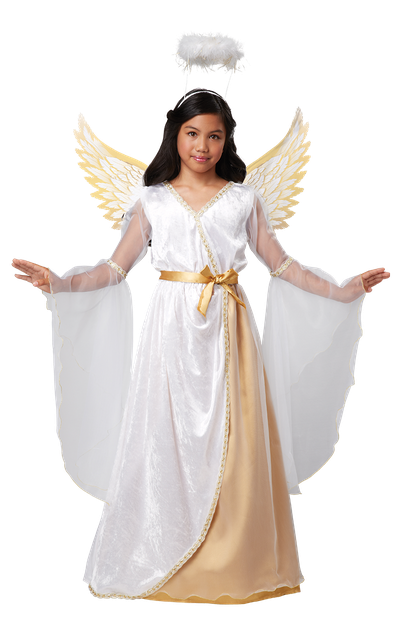 Halloween Costumes Angel Png Pic (black, silver, lavender)