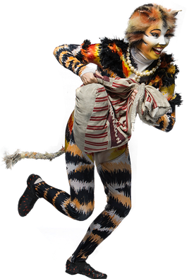 Halloween Costumes Cat Png (black, white)