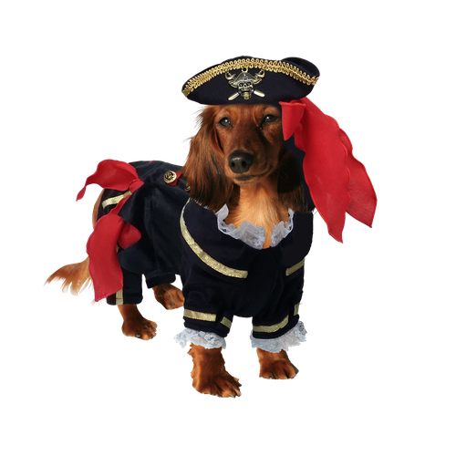 Halloween Costumes Dogs Png Clipart (black)