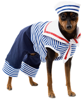 Halloween Costumes Dogs Png Hd (black, lavender, white)