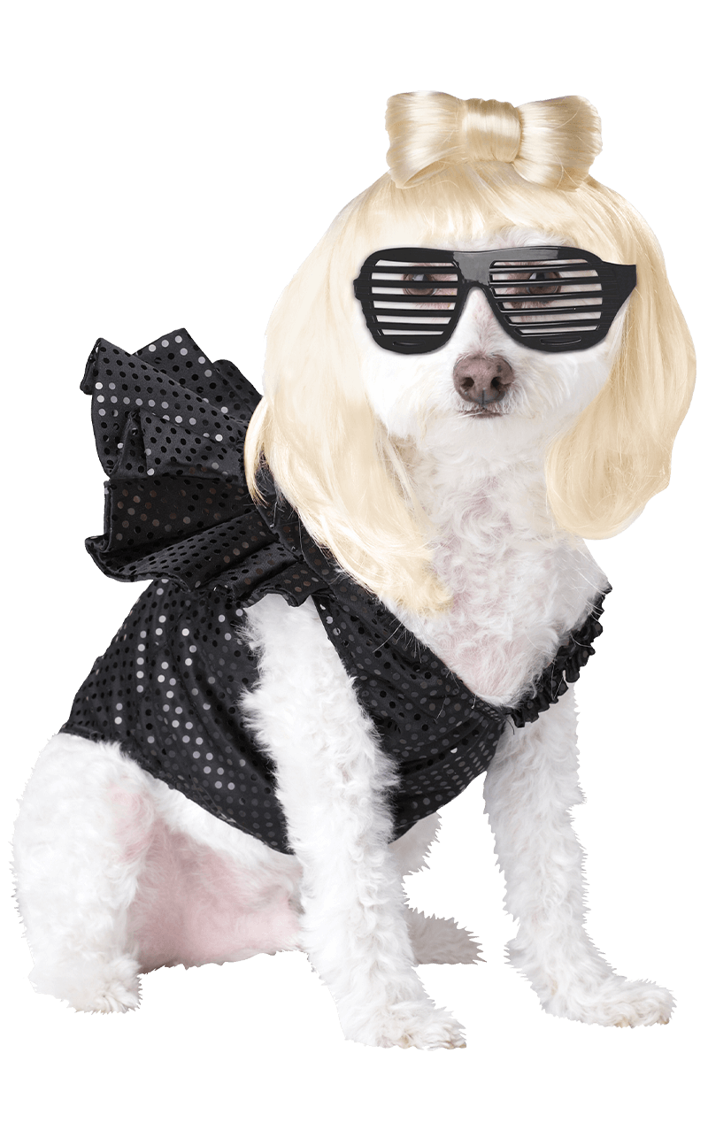 Halloween Costumes Dogs Png Isolated Photo (black, lavender, white)