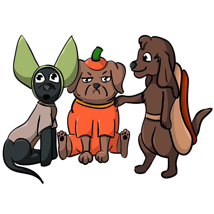 Halloween Costumes Dogs Png Photos (chocolate, olive, gray, black, silver)